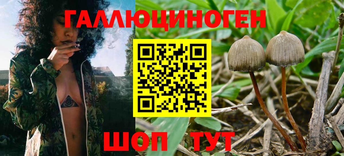 Псилоцибиновые грибы Magic Shrooms  Псилоцибиновые грибы мицелий  Красноармейск  Вход с VPN 